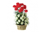 Ultimate Elegance - 36 Stem Basket